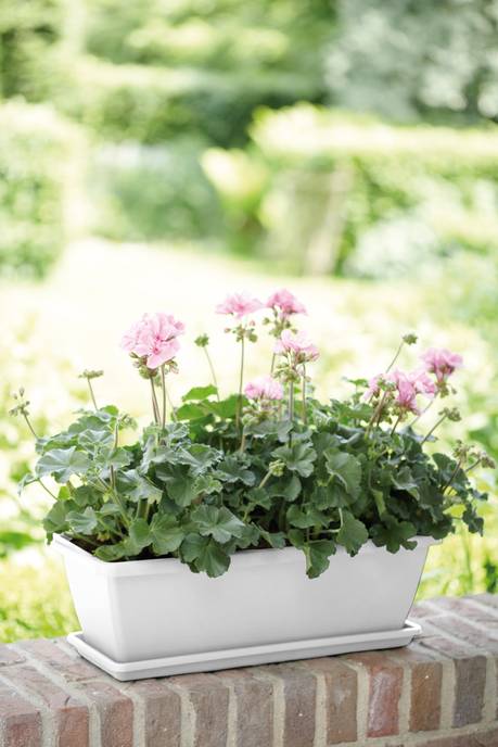 barcelona balkonbak 70cm wit